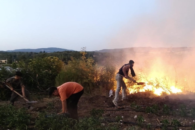 YANGINLAR KADER DEĞİL: PEYZAJ MİMARLIĞI, İKLİM KRİZİ VE KURUMSAL BOŞLUKLAR ÜZERİNE BİR DEĞERLENDİRME