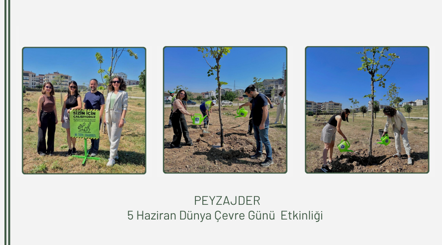 Dünya Çevre Gününde Ağaç Dikimi Gerçekleştirdik