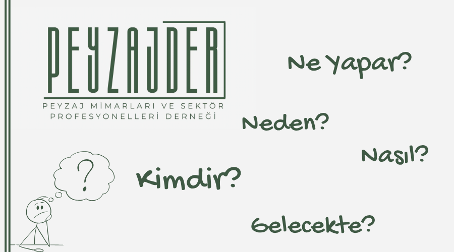 PEYZAJDER NEDİR?